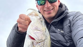 BASS, STRIPER, PERCH & PICKEREL! Beltzville Lake February Fishing