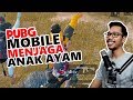 MISI MENJAGA ANAK AYAM - PUBG MOBILE INDONESIA