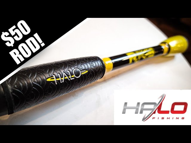 Halo Rave Rod Review ($50 Budget Fishing Rod) 