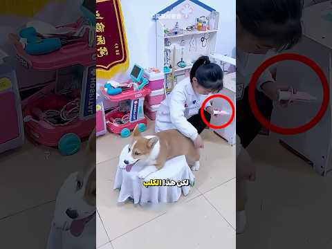 هذه الفتاة طبيبة محترفة حقا