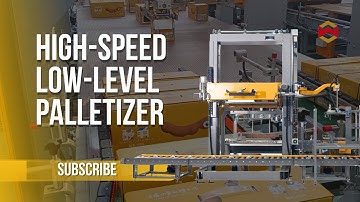 WIN-WIN PACK High-Speed Low-Level Palletizer for Tamarind Juice Cartons #palletizer #palletizing