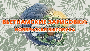 Вьетнамские зарисовки: ноябрьская бытовуха