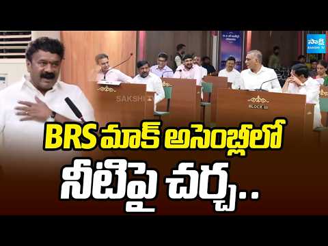 నీటిపై చర్చ.. | Discussion on water issues at the BRS mock assembly | Sakshi TV - SAKSHITV