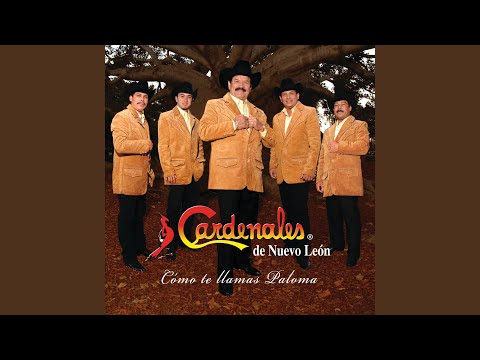 Watch the video for El Mayor de Mis Anhelos