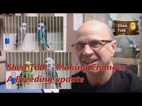 Series 2 Episode 19 Making Changes A Breeding Update 