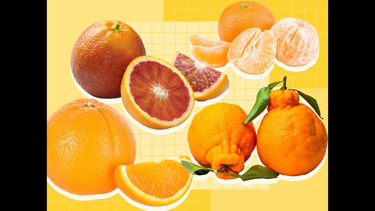 The Ultimate Guide to Oranges: Varieties, Seasonality, and How to Choose the Best