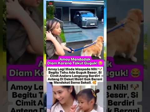 Amoy Mendadak Diam Karena Takut Guguk! 😂 #amoy #nagita #rans