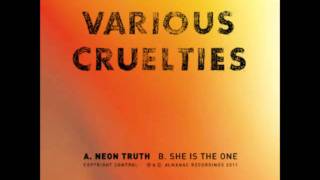 Video voorbeeld van "Various Cruelties - She Is The One"