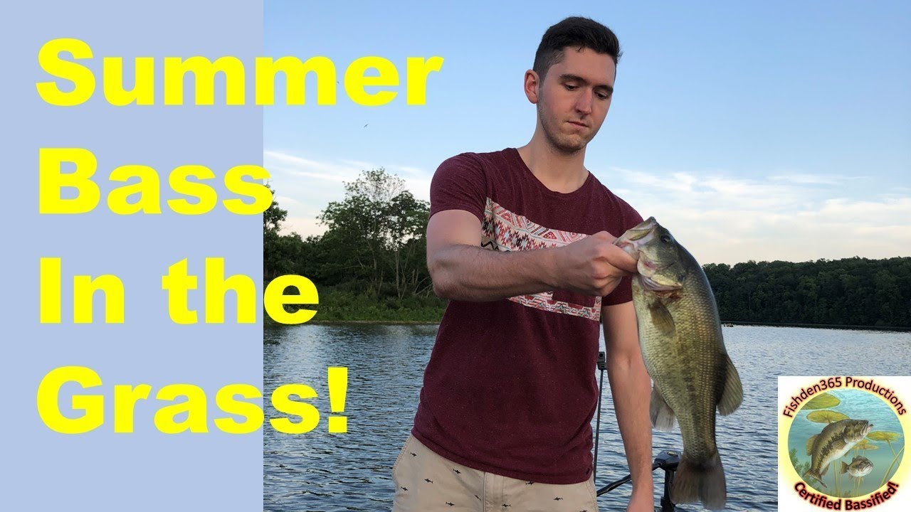 Summer Bass In The Grass! YouTube