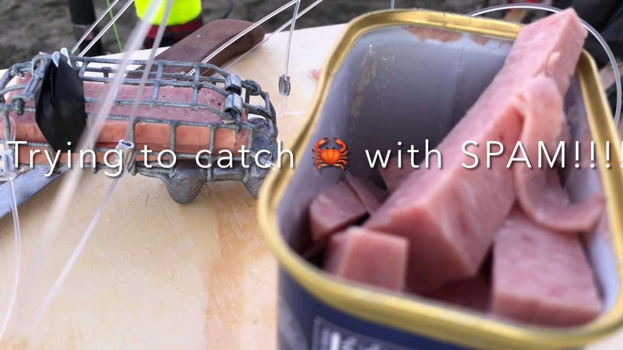 Using SPAM AS BAIT, to catch CRAB!!! YouTube