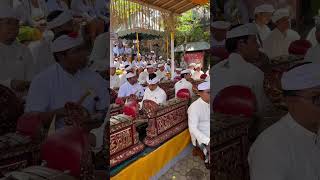 The incredible Gamelan Music 😍#bali