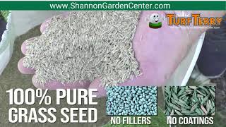 Grass Seed Stratford CT- Top Rated Grass Seed- Greenview & ProScape Grass Seed