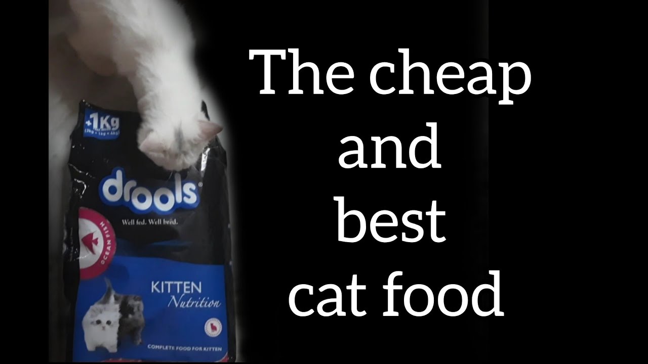 Different different cats foods among them best and cheap food we prefer