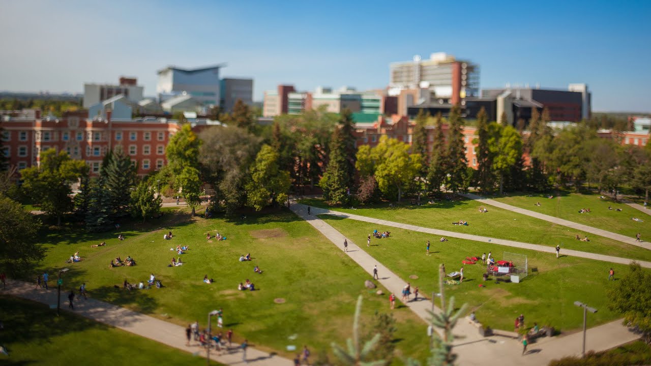 Are mandatory ”white privilege” courses racist? U of Alberta student fights back