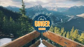 Linkin Park - Numb (Ginger Remix)