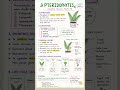 #ncert #easybiology #basics #biologyshorts 🌿✨