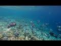 Middle of video