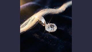 Material Lover - David Sit