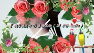 【 我最親愛的 dj 】張惠妹 ( DJ 京仔 Remix )