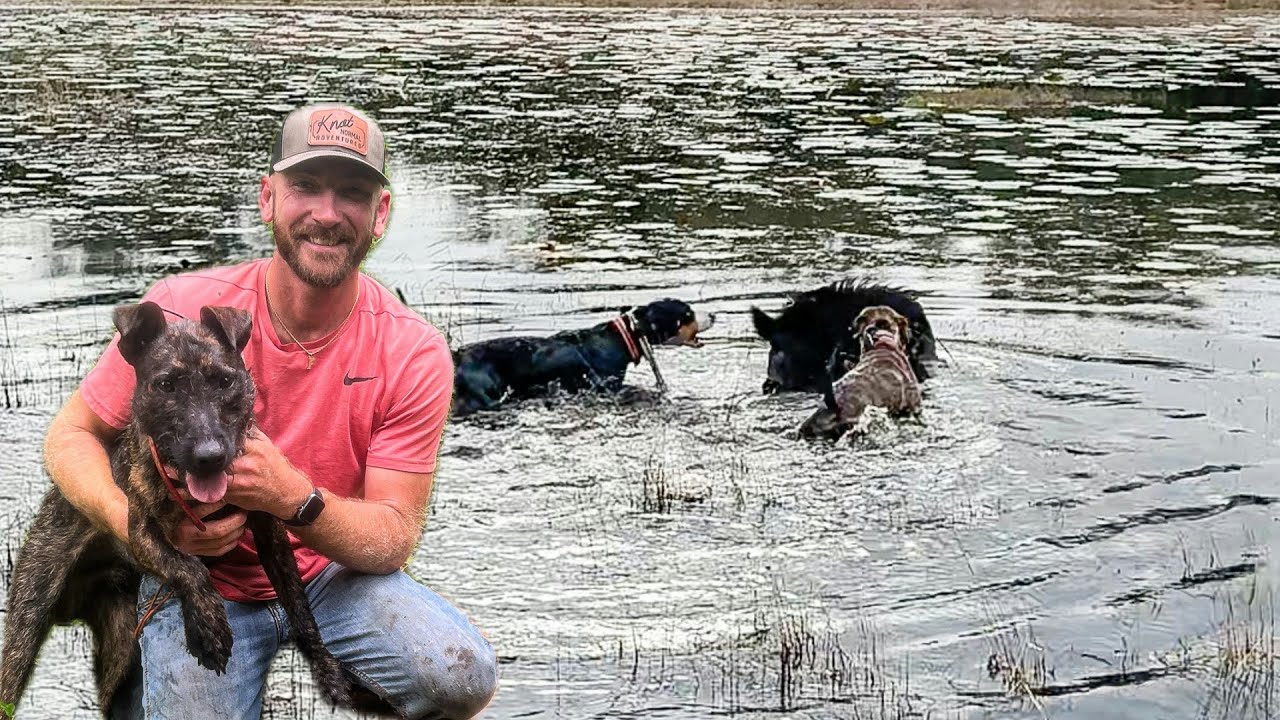 Ловля кабанов с моим ЯГДТЕРЬЕРОМ!!