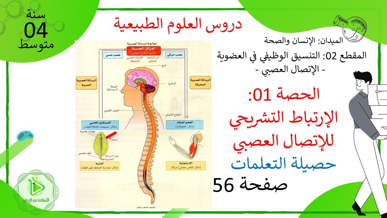 حصيلة التعلمات لدرس الإرتباط التشريحي للإتصال العصبي علوم طبيعية سنة 04 متوسط