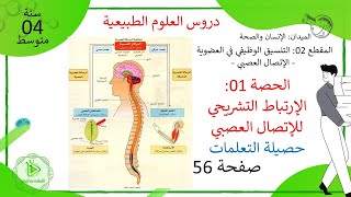 حصيلة التعلمات لدرس الإرتباط التشريحي للإتصال العصبي علوم طبيعية سنة 04 متوسط