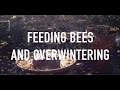 Feeding Bees and Overwintering