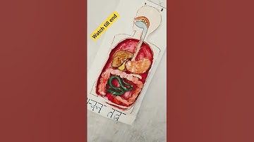 Digestion system for biology👨‍🔬 students ||मानव पाचन तंत्र  #digestivesystem #neet #upsc  #biology