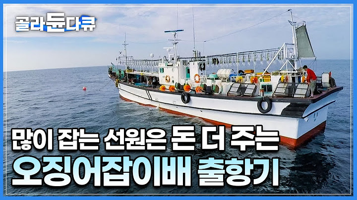 한 배를 탔는데 많이 잡는 선원 돈 더 주는 독특한 오징어배 출항기│조류 따라 알아서 잡혀주는 가을 동해안 오징어│물돛을 이용한 기계식 조업│포항 구룡포│한국기행│#골라듄다큐