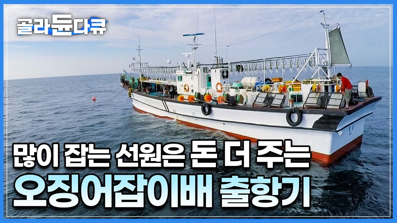 한 배를 탔는데 많이 잡는 선원 돈 더 주는 독특한 오징어배 출항기│조류 따라 알아서 잡혀주는 가을 동해안 오징어│물돛을 이용한 ...