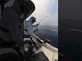 70キロのクロマグロ、決着の瞬間 #fishing #bluefintuna #extremefishing #bigcatch #fish #bluefintuna #釣り
