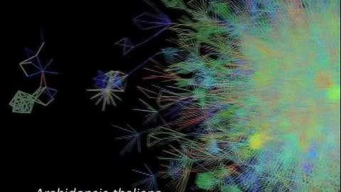 Gene Function Discovery: Guilt by Association