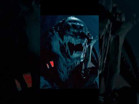 Predator’s Cleanup Mission – Sewer Laser Trap Setup | AVP 2007