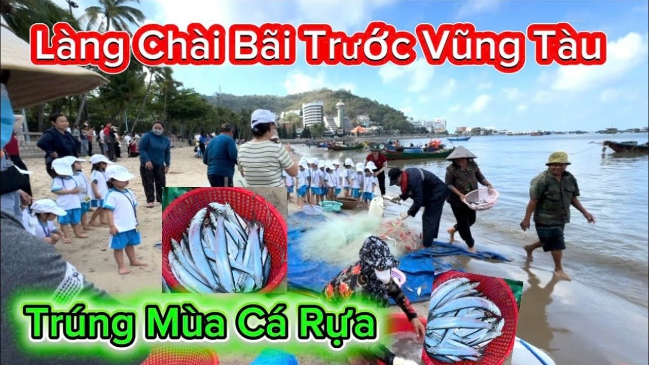 1298 . Vũng Tàu Làng Chài Bãi Trước Trúng Mùa Cá Rựa - YouTube