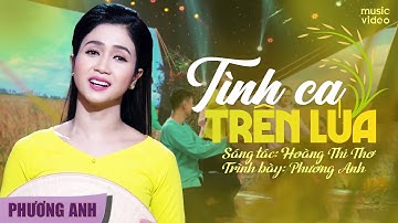 Tình Ca Trên Lúa - Phương Anh | Official 4K MV