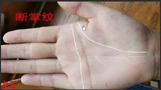 男人右手断掌掌财库，好好努力，必可有千万资产