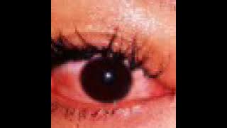 Mega hideung - sundarisversion