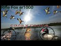 🦆CAZA y COCINA de PATOS🦆 con RIFLE Fox sr1000