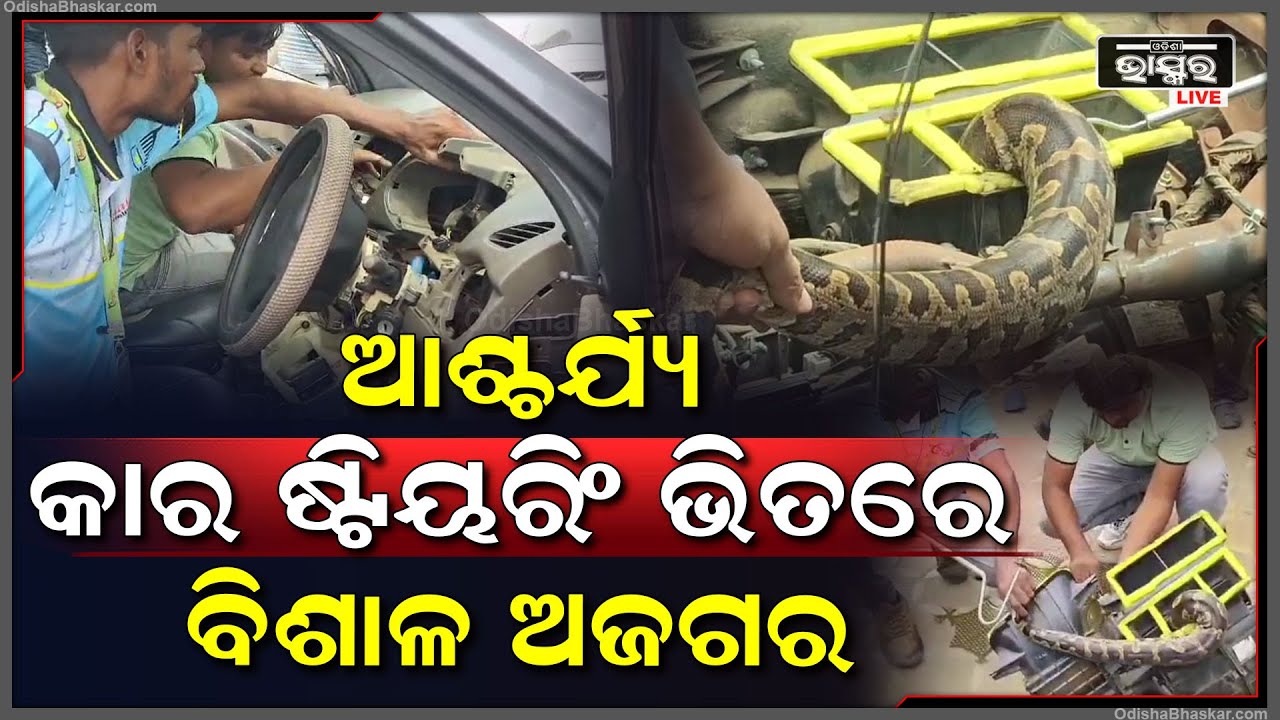 କାର ଷ୍ଟିୟରିଂ ମୋଡ଼ୁ ମୋଡ଼ୁ ଭିତରୁ ଶୁଭିଲା ସୁ ସୁ ଗର୍ଜନ..ଭୟରେ କାର ଛାଡ଼ି ବାହାରକୁ ଚାଲି ଆସିଲେ ଚାଳକ  ଆଉ ତା'ପରେ...