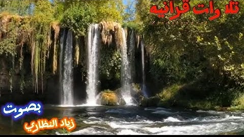 ﴿ يَا أَيُّهَا الَّذِينَ آمَنُوا تُوبُوا إِلَى اللَّهِ تَوْبَةً نَّصُوحًا.سورة التحريم #زيادالنظاري.