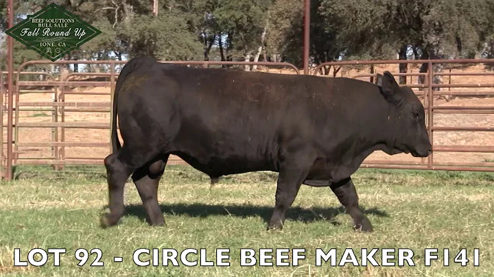 LOT 92   CIRCLE BEEF MAKER F141