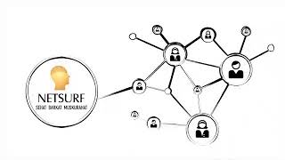Bussiness plan of Netsurf