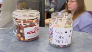 Welcome to Crossroads Veterinary Hospital