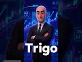 How we believe #trigo #trader #nft