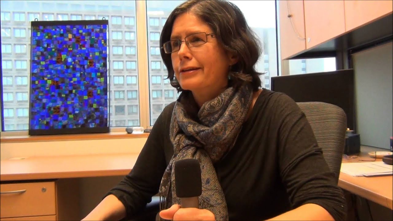 Wendy Robbins discusses the MIS program and the thesis option