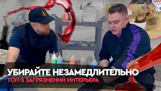 видео: 5 ОПАСНЫХ ЗАГРЯЗНЕНИЙ ИНТЕРЬЕРА картинка: 5 ОПАСНЫХ ЗАГРЯЗНЕНИЙ ИНТЕРЬЕРА