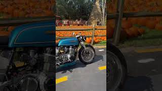 Pumpkin with a chance of cafe racer
