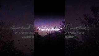 Чтец: Мухаммад Аль Люхайдан красивое чтение | Сура Аш-Шура (Совет) Аят 25-26