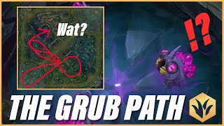 Season 14 Jungle - THE GRUB PATH @Phylaris