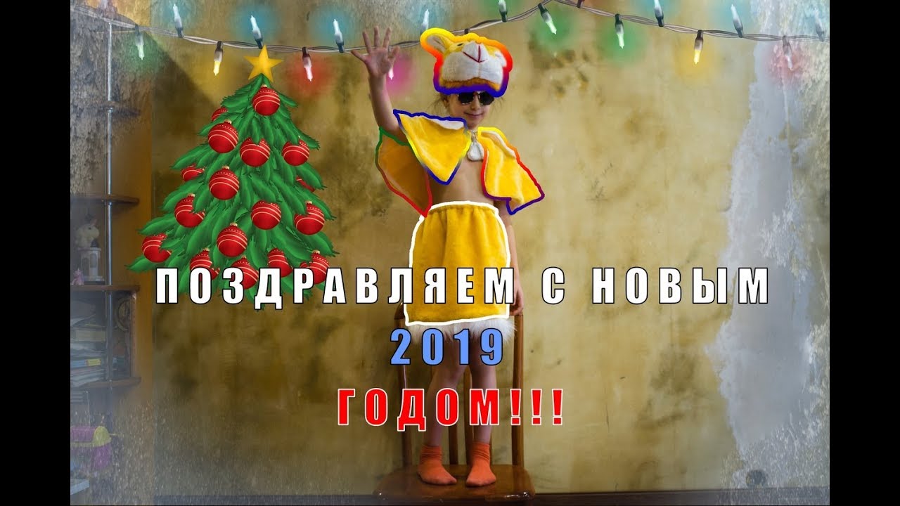 Папа карина догова